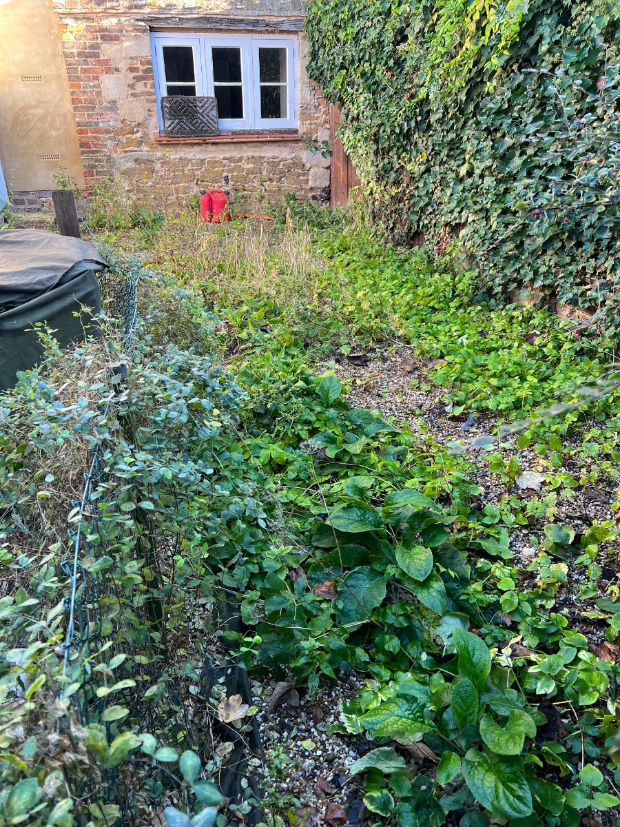 Landscaper: Image 3