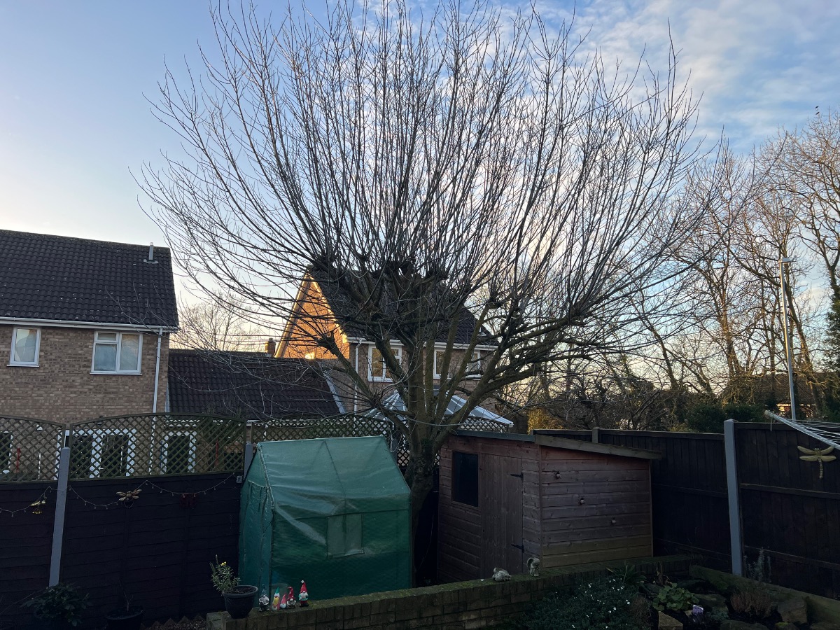 Landscaper: Image 33