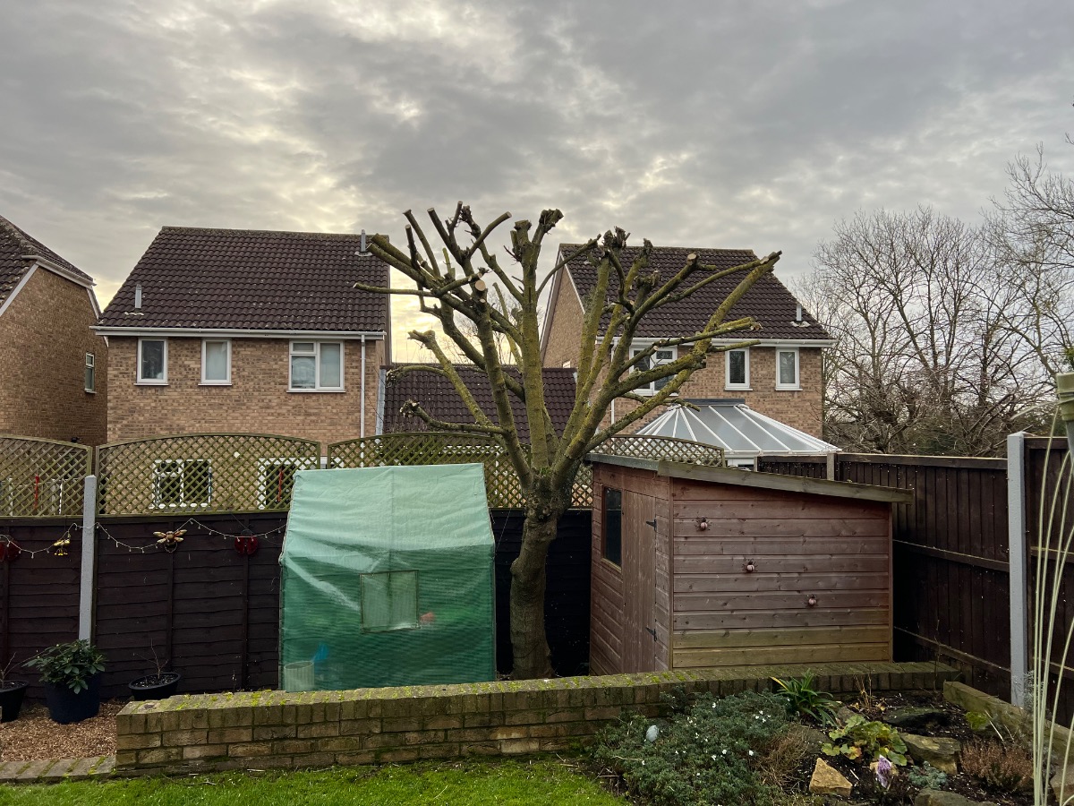 Landscaper: Image 34