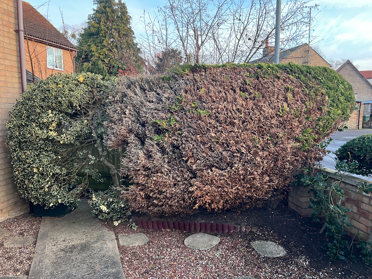 Landscaper: Image 31
