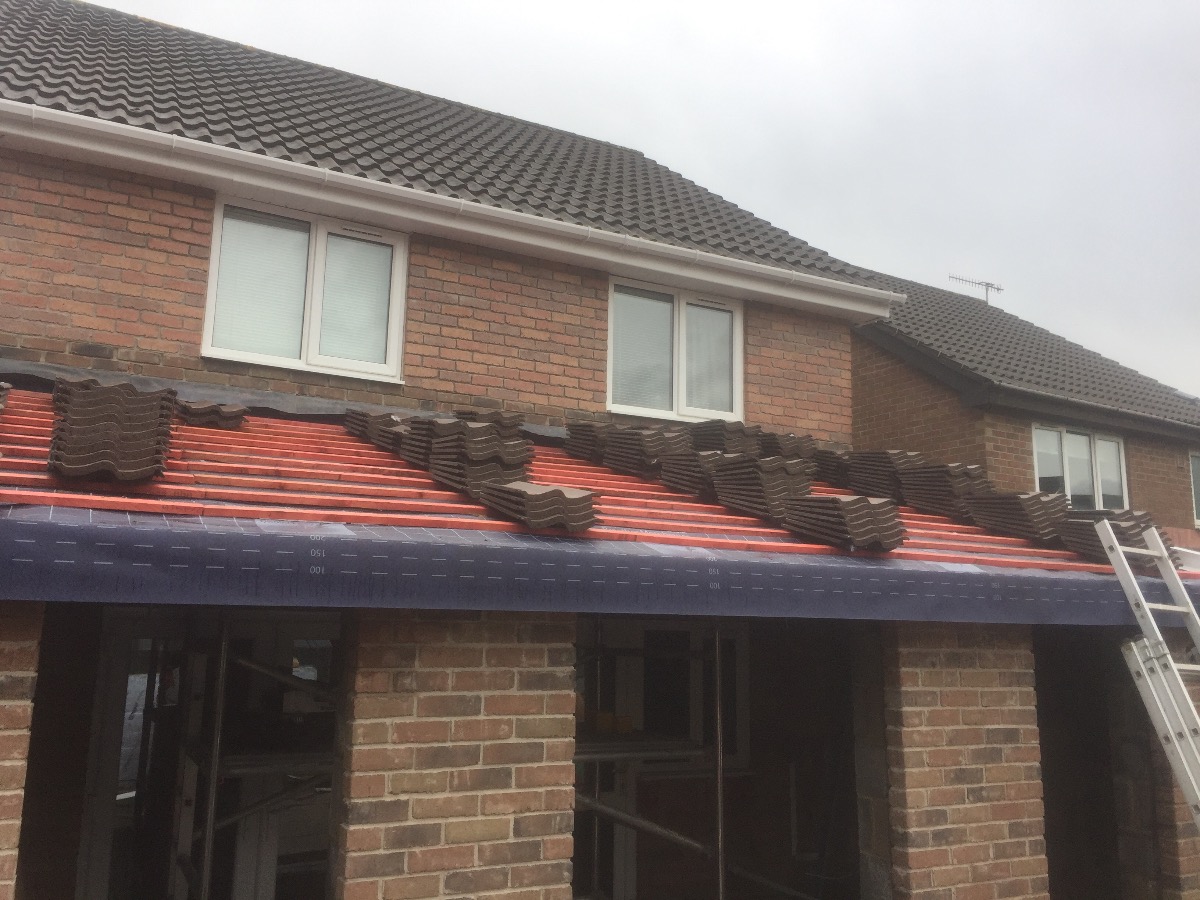Builder: Image 6