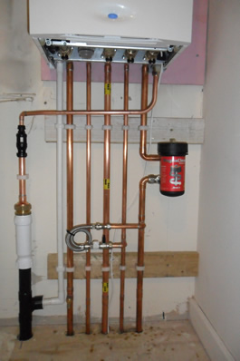 Company: Image 11