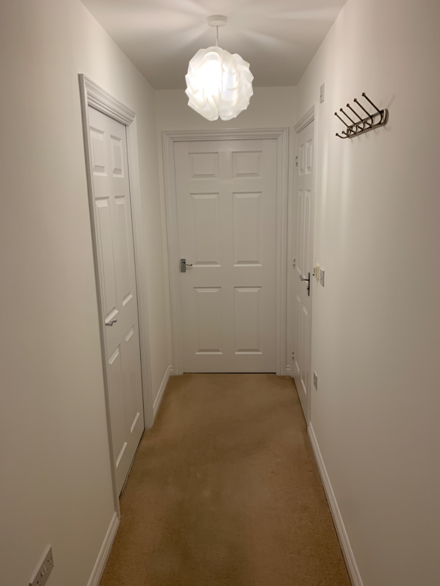 Painter and Decorator: Image 6