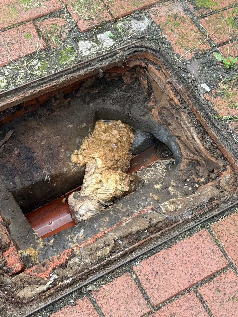 Drain Specialist: Image 1