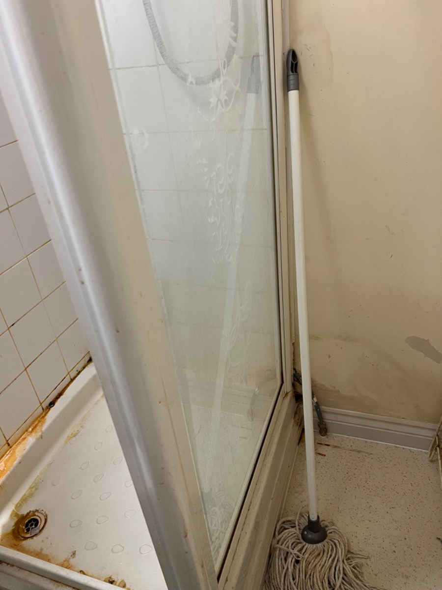 Cleaner: Image 4