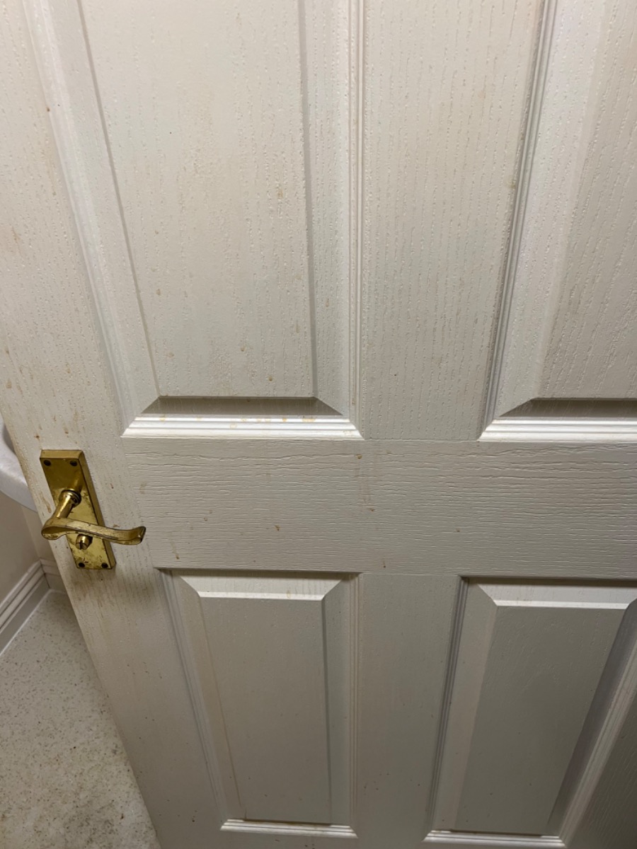 Cleaner: Image 5