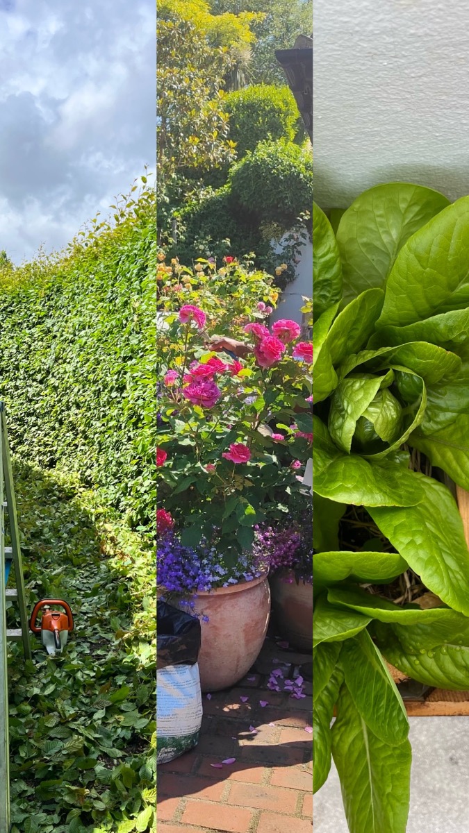 Gardener: Image 6