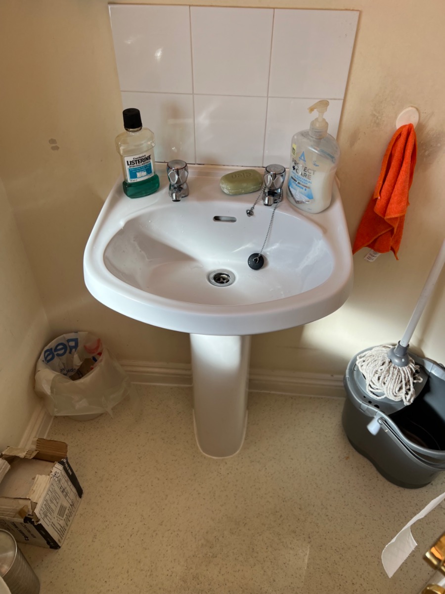 Cleaner: Image 1