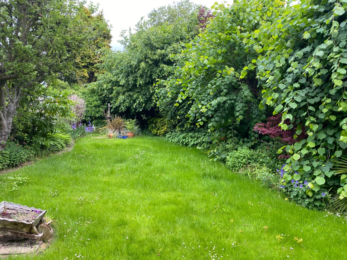 Landscaper: Image 5