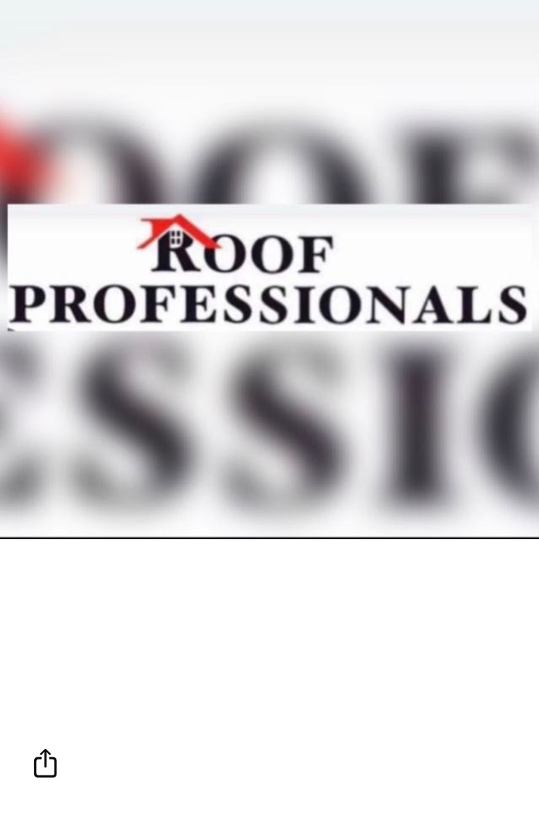 Profile: Image 1 – Roof professionals 