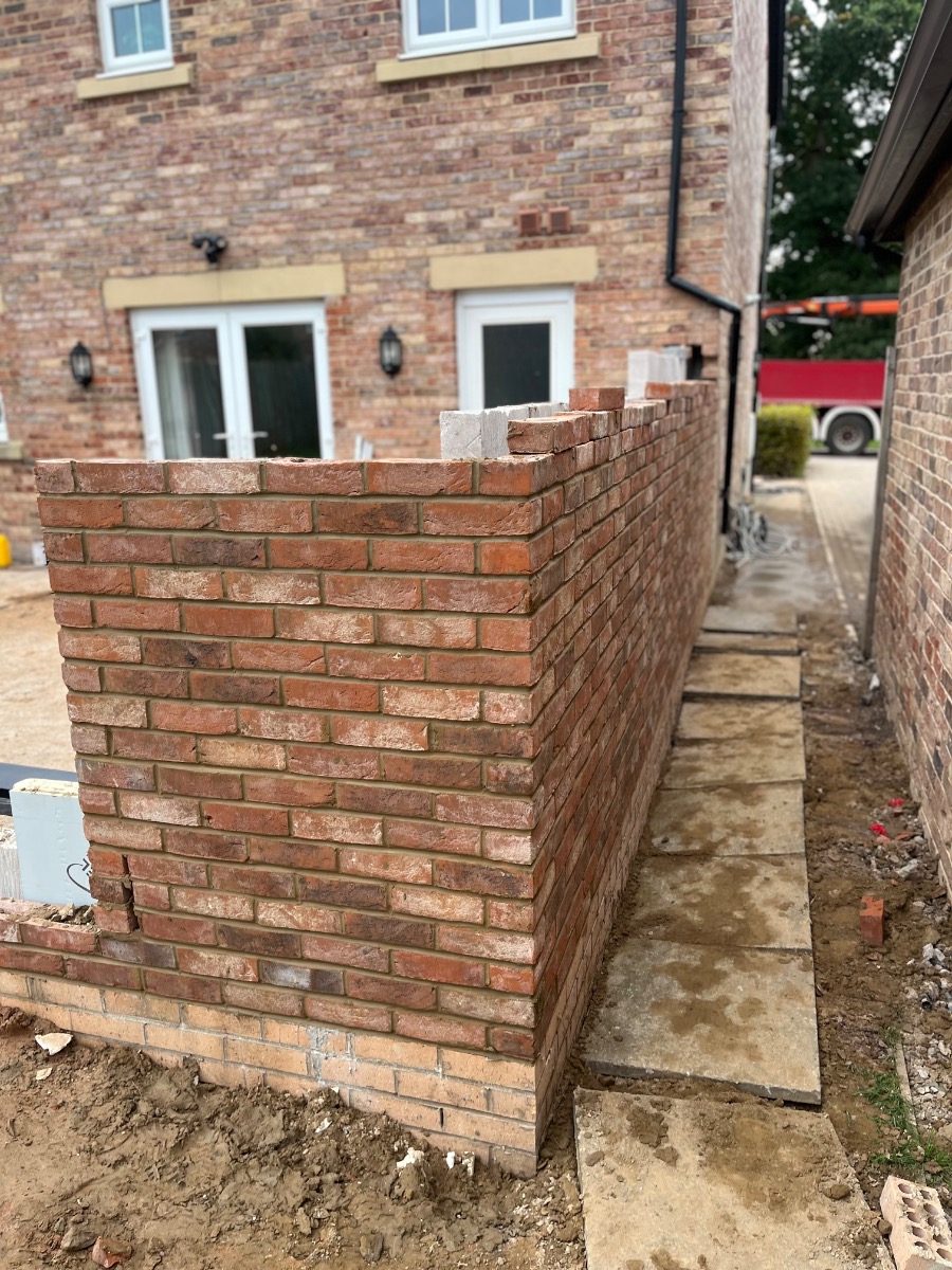Profile: Image 19