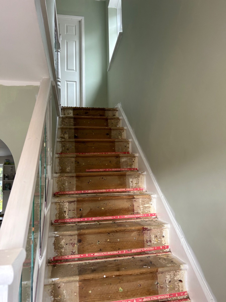 Painter and Decorator: Image 3