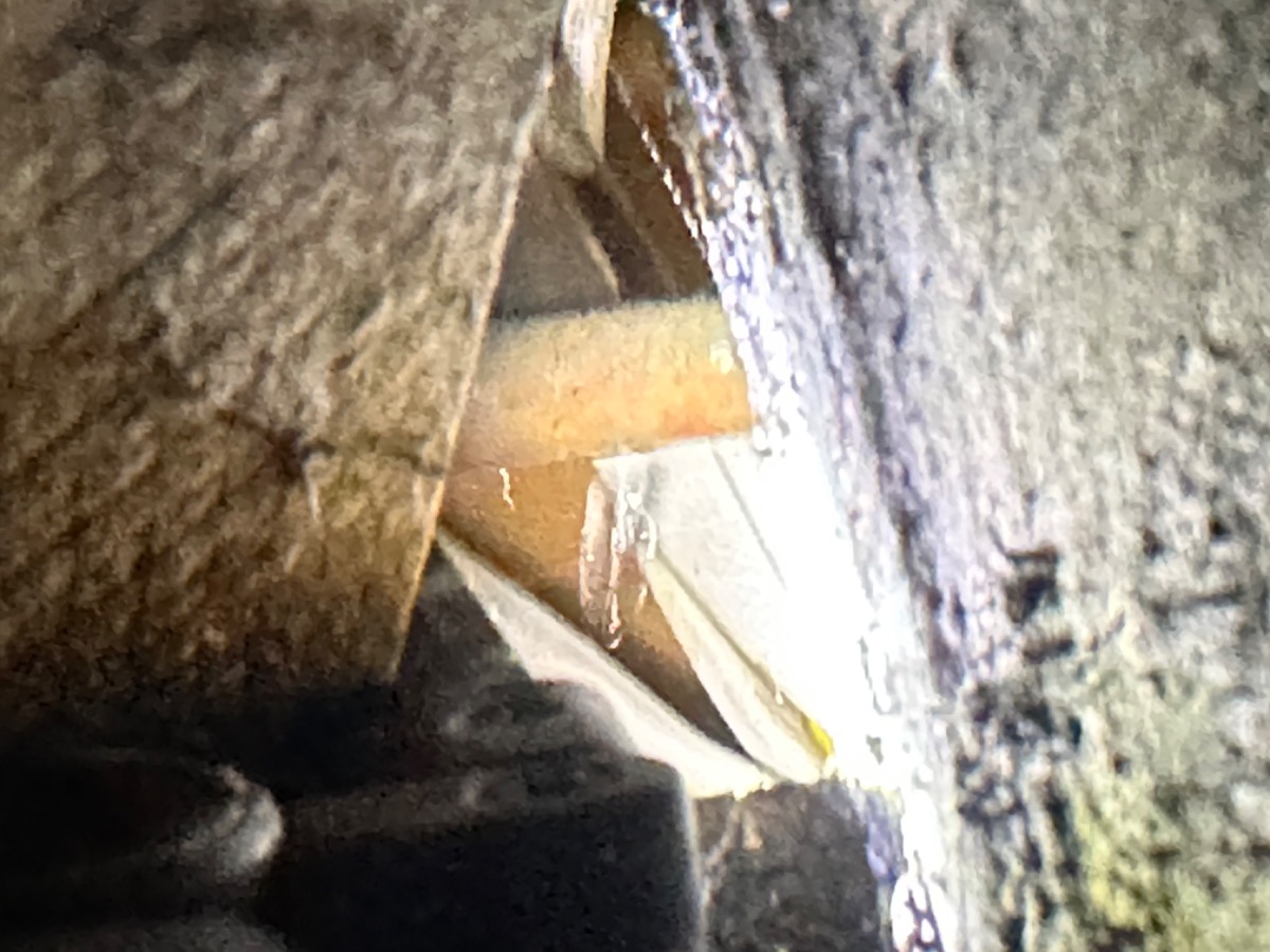Plumber: Image 5