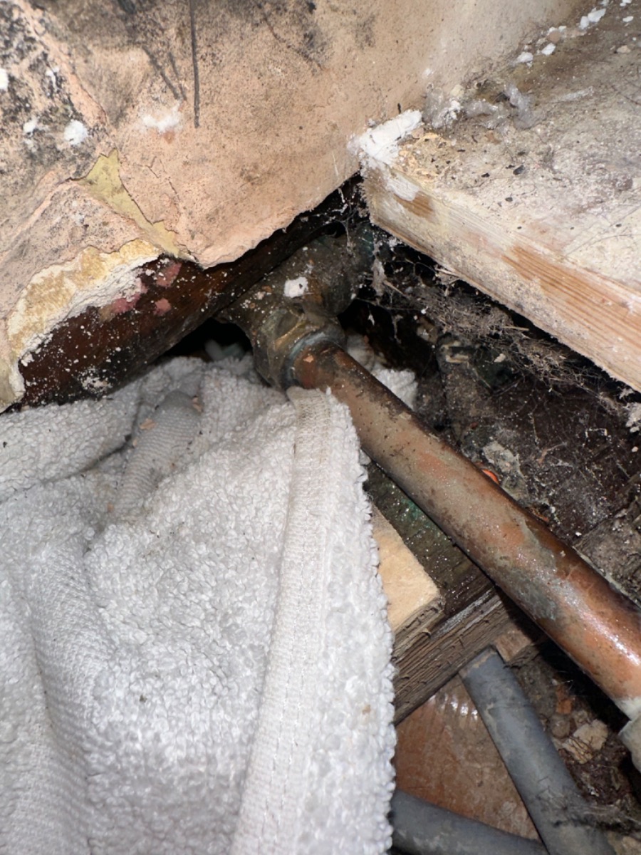Plumber: Image 6