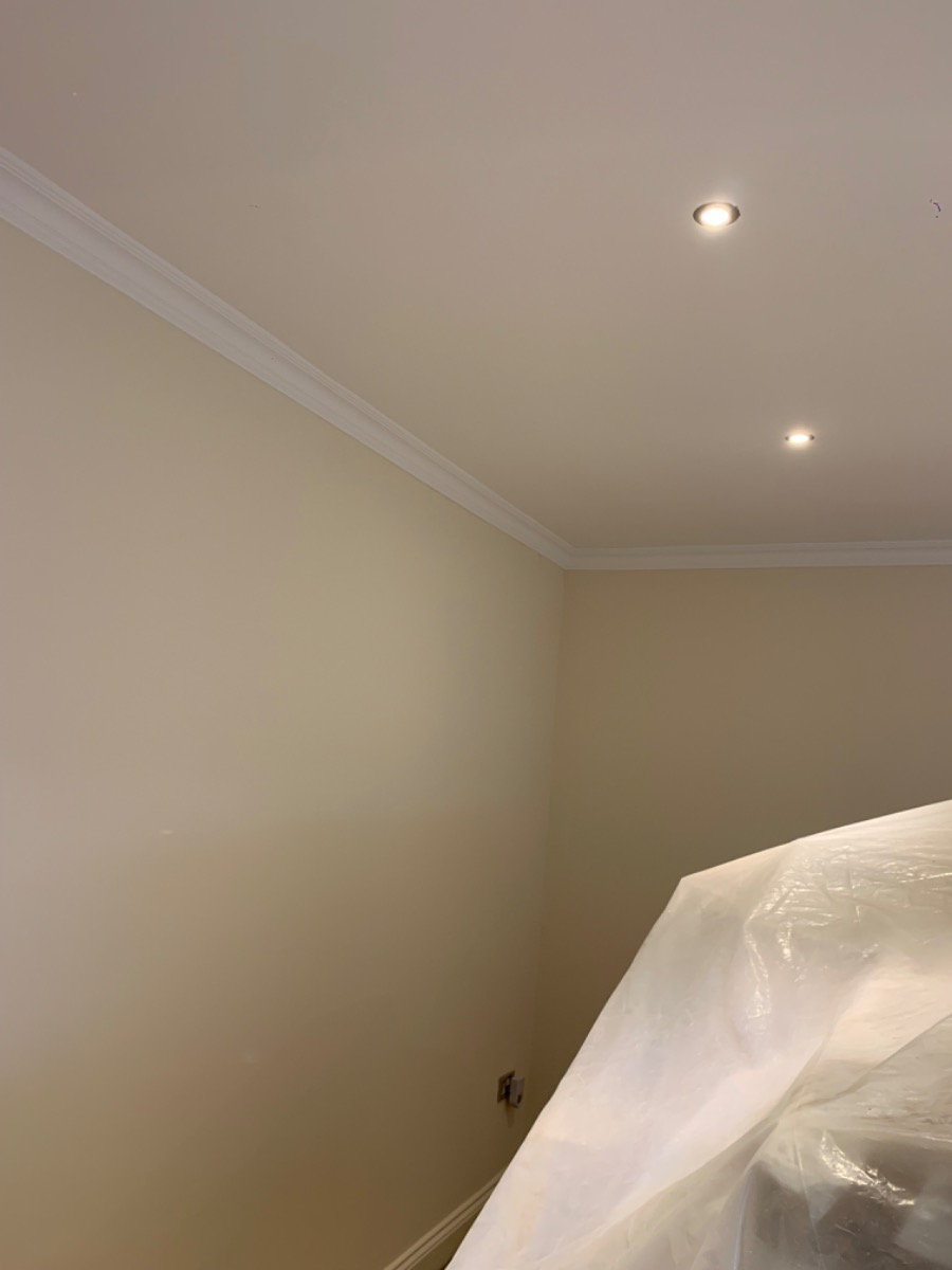 Painter and Decorator: Image 8