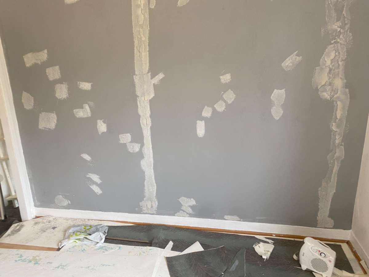 Painter and Decorator: Image 20
