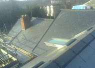 Company: Image 12