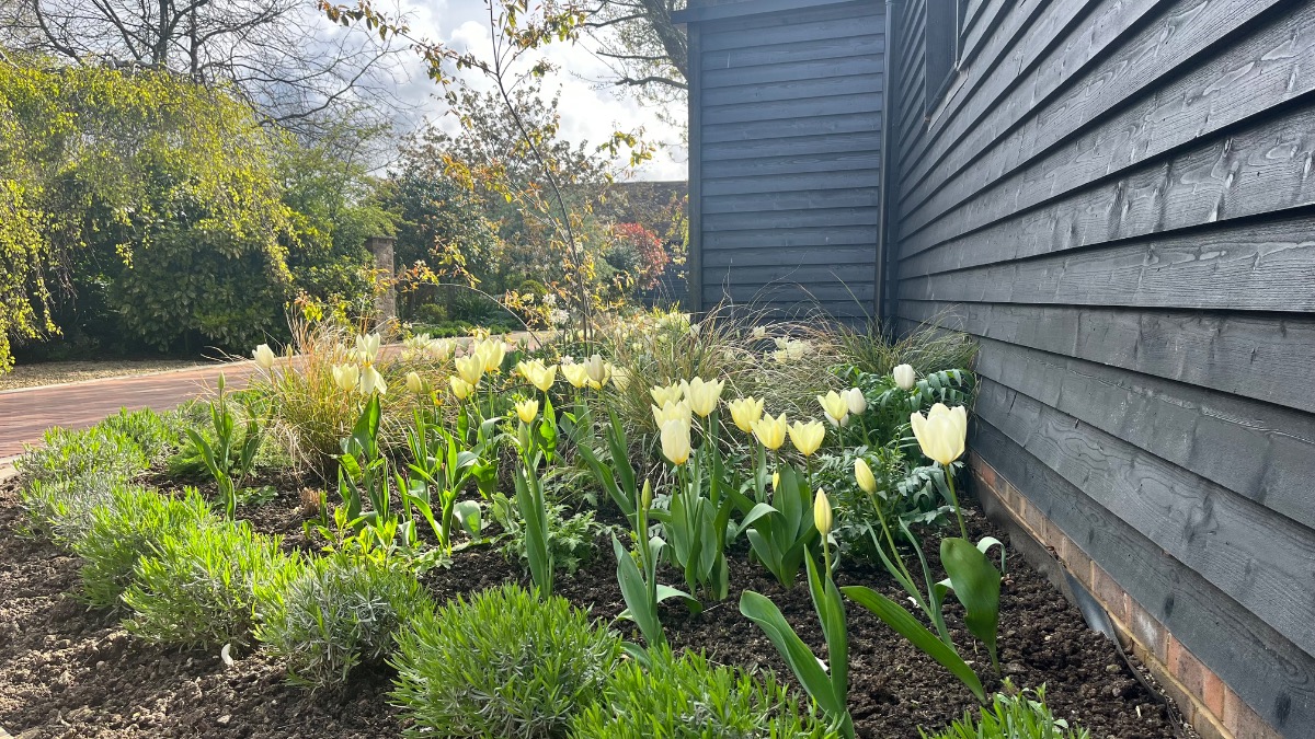 Gardener: Image 9
