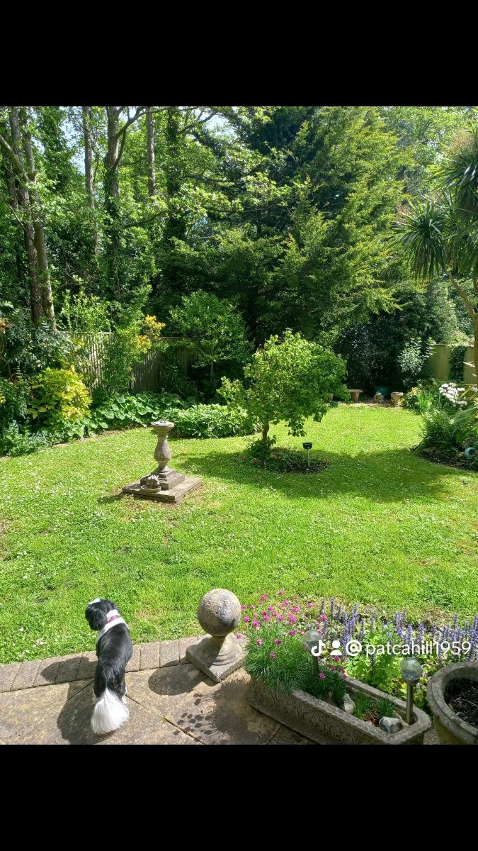 Gardener: Image 1
