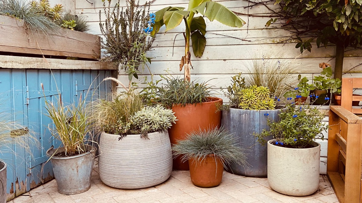 Gardener: Image 5