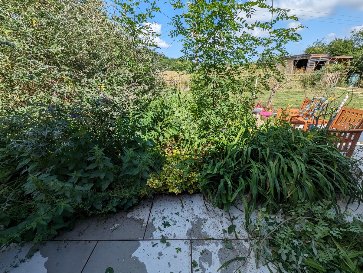 Gardener: Image 23