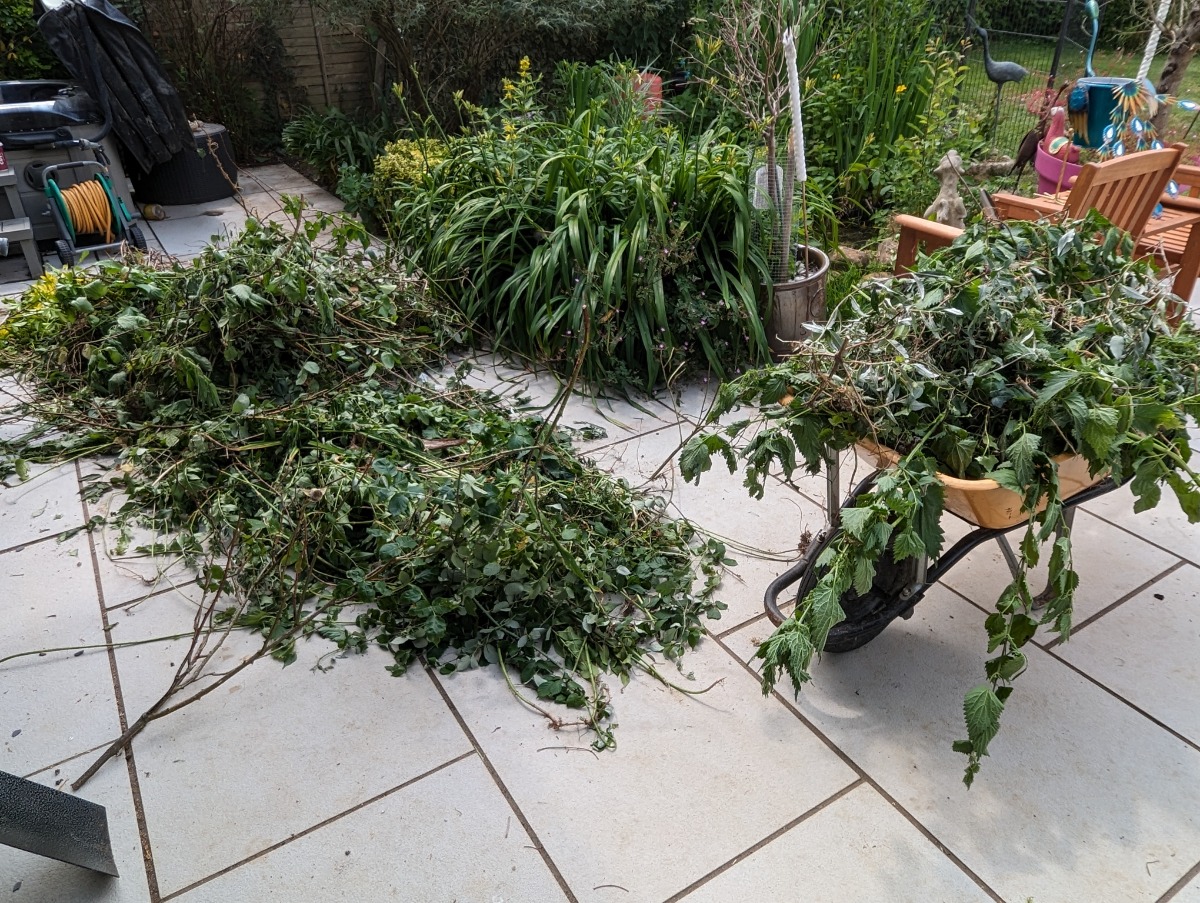 Gardener: Image 22