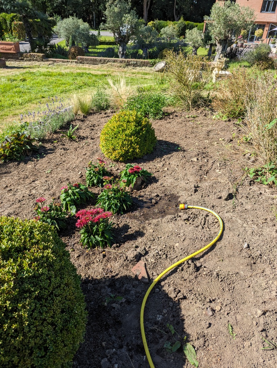 Gardener: Image 11