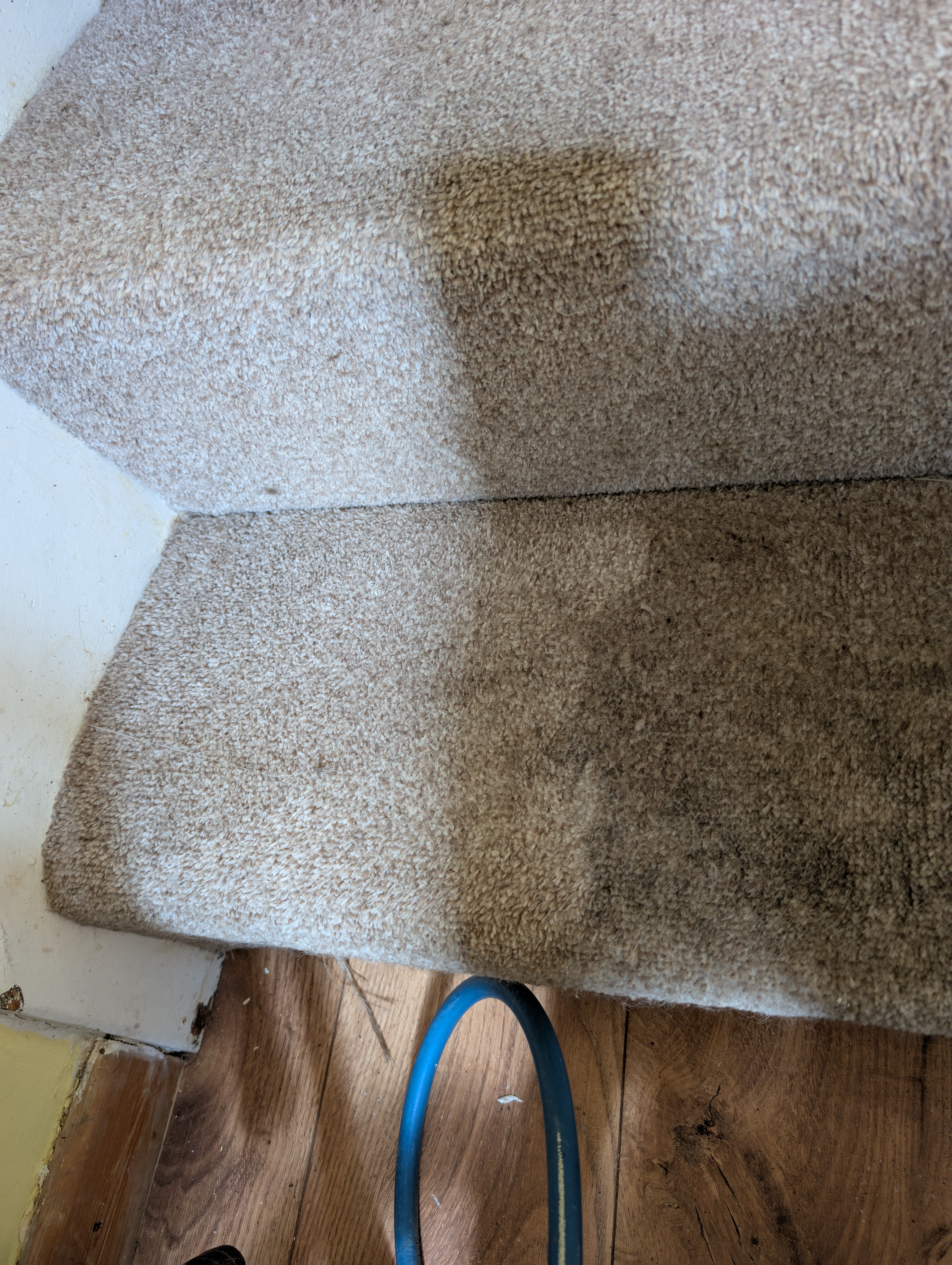 Cleaner: Image 1