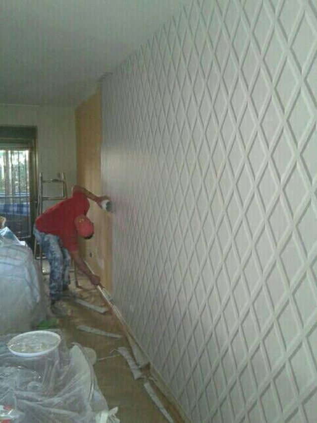 Painter and Decorator: Image 1