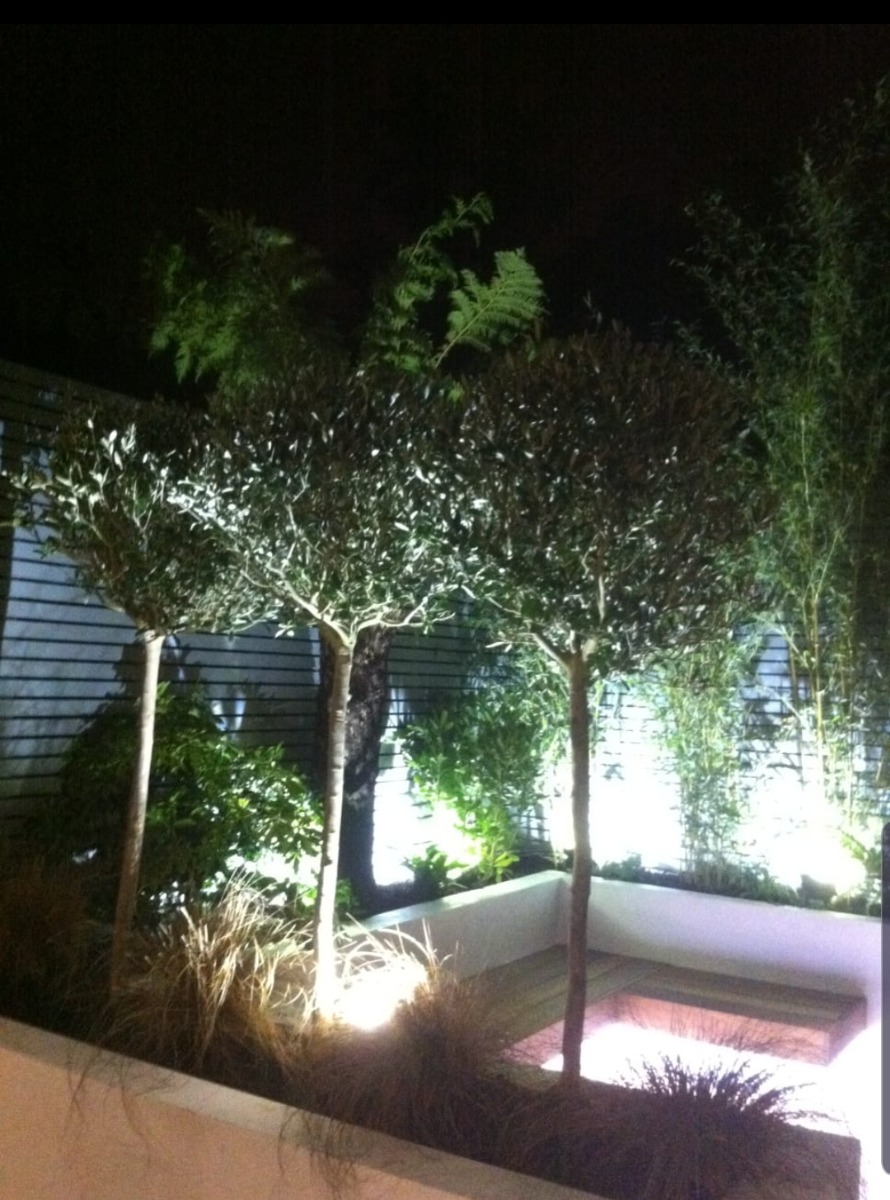 Company: Image 10