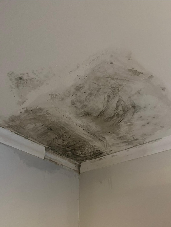 Plasterer: Image 1