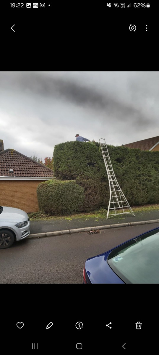 Gardener: Image 7