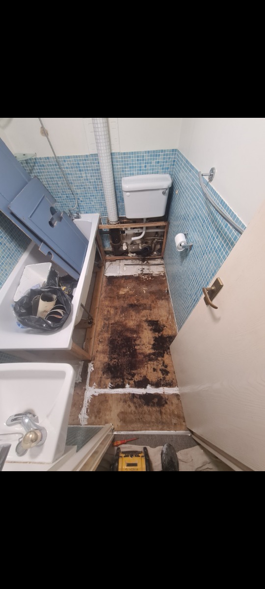 Handyman: Image 1