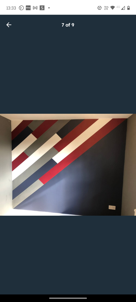 Painter and Decorator: Image 6