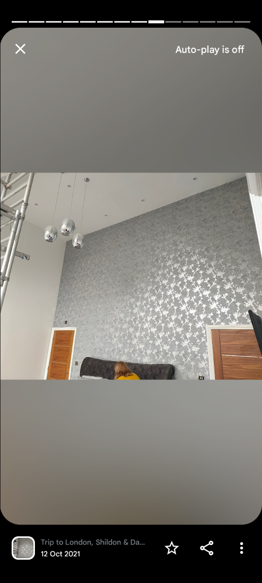Painter and Decorator: Image 7