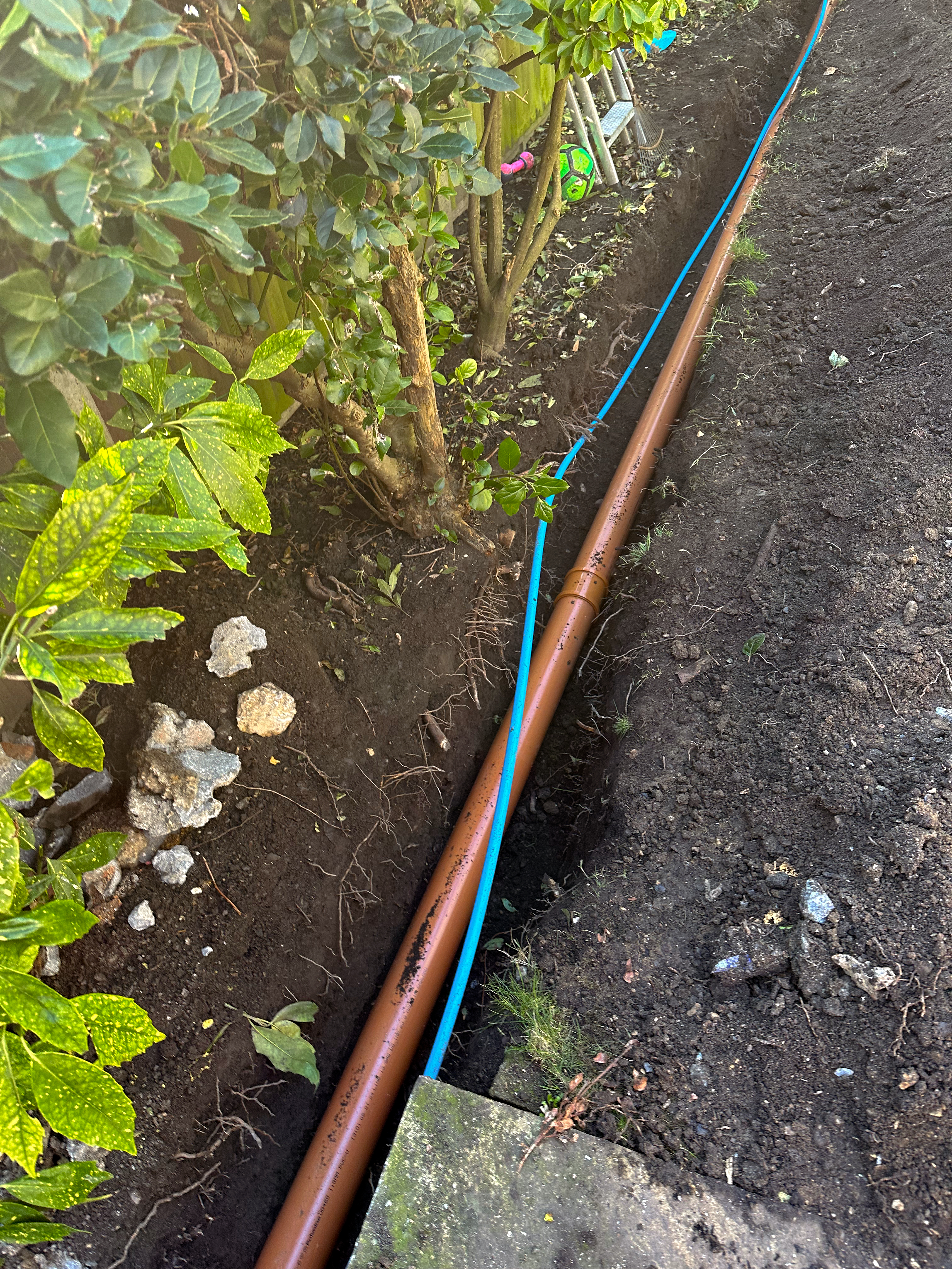 Drain Specialist: Image 2