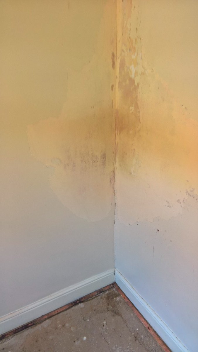 Builder: Image 2