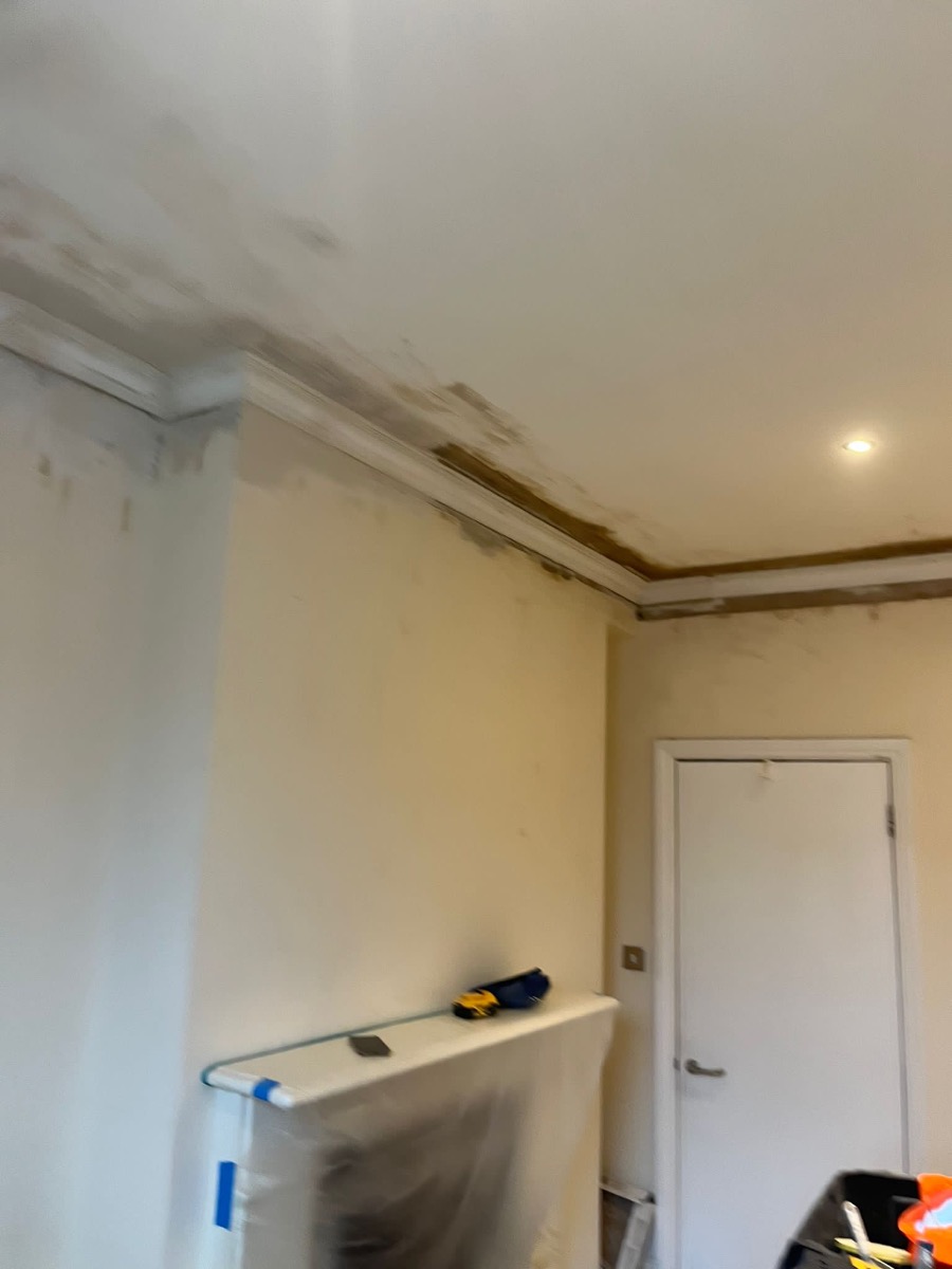 Painter and Decorator: Image 7