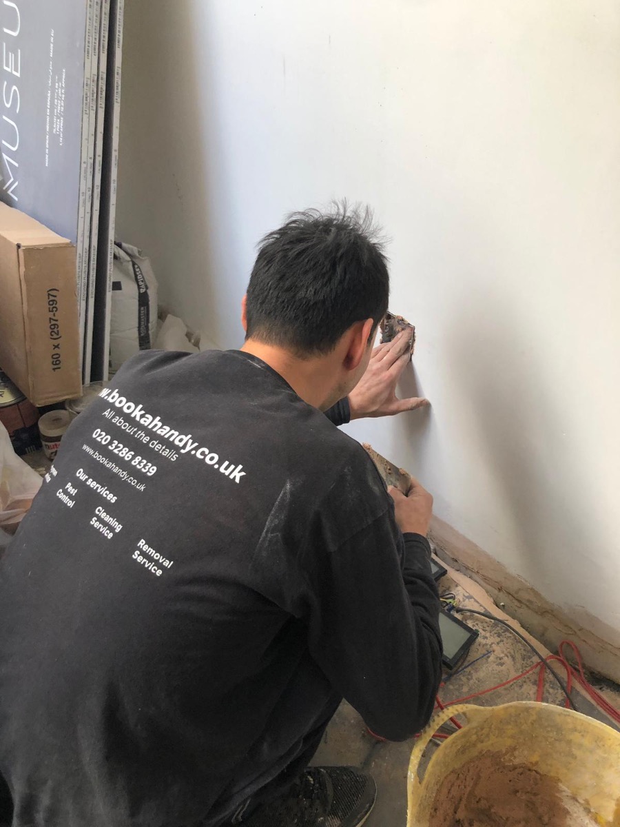 Painter and Decorator: Image 3