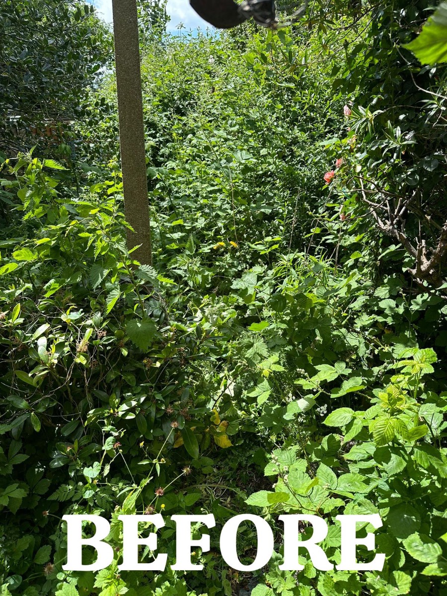 Gardener: Image 4