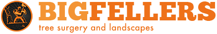 Company: Image 1