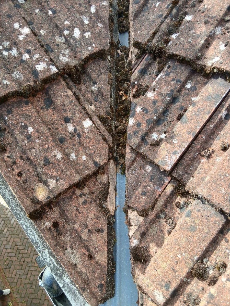 Roofer: Image 37