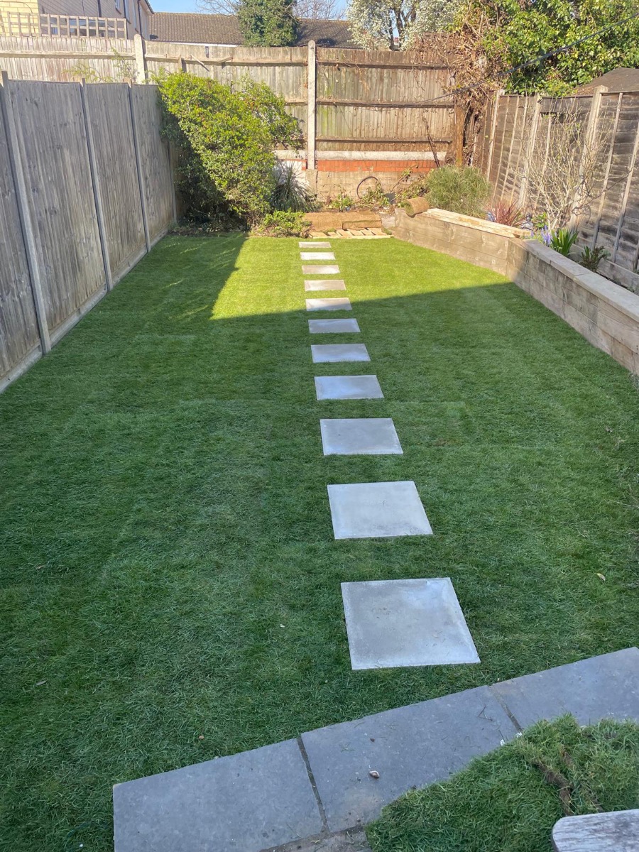 Profile: Image 3