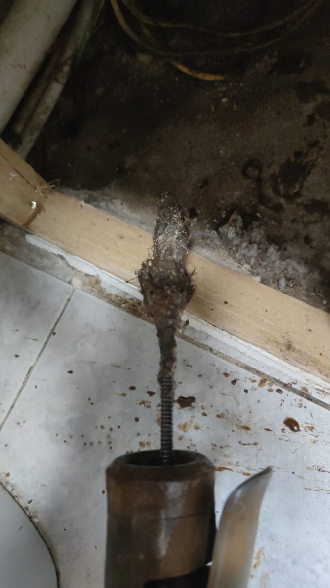 Drain Specialist: Image 2