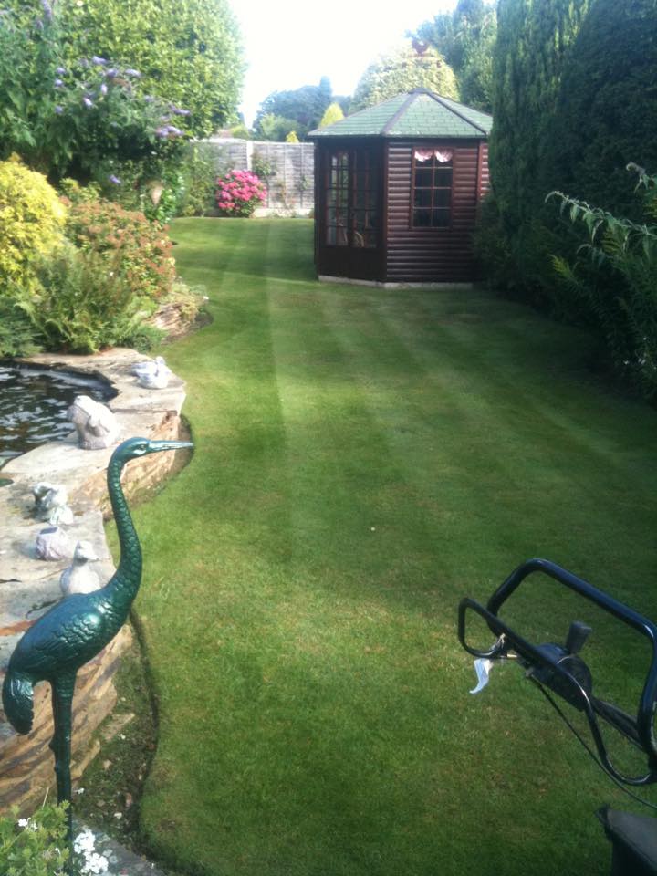 Gardener: Image 2
