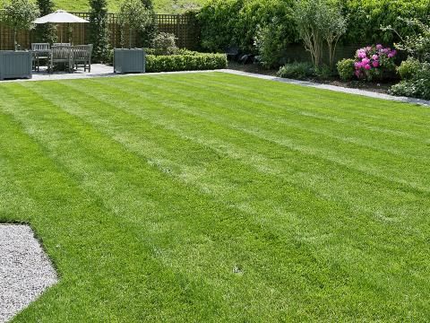 Gardener: Image 1