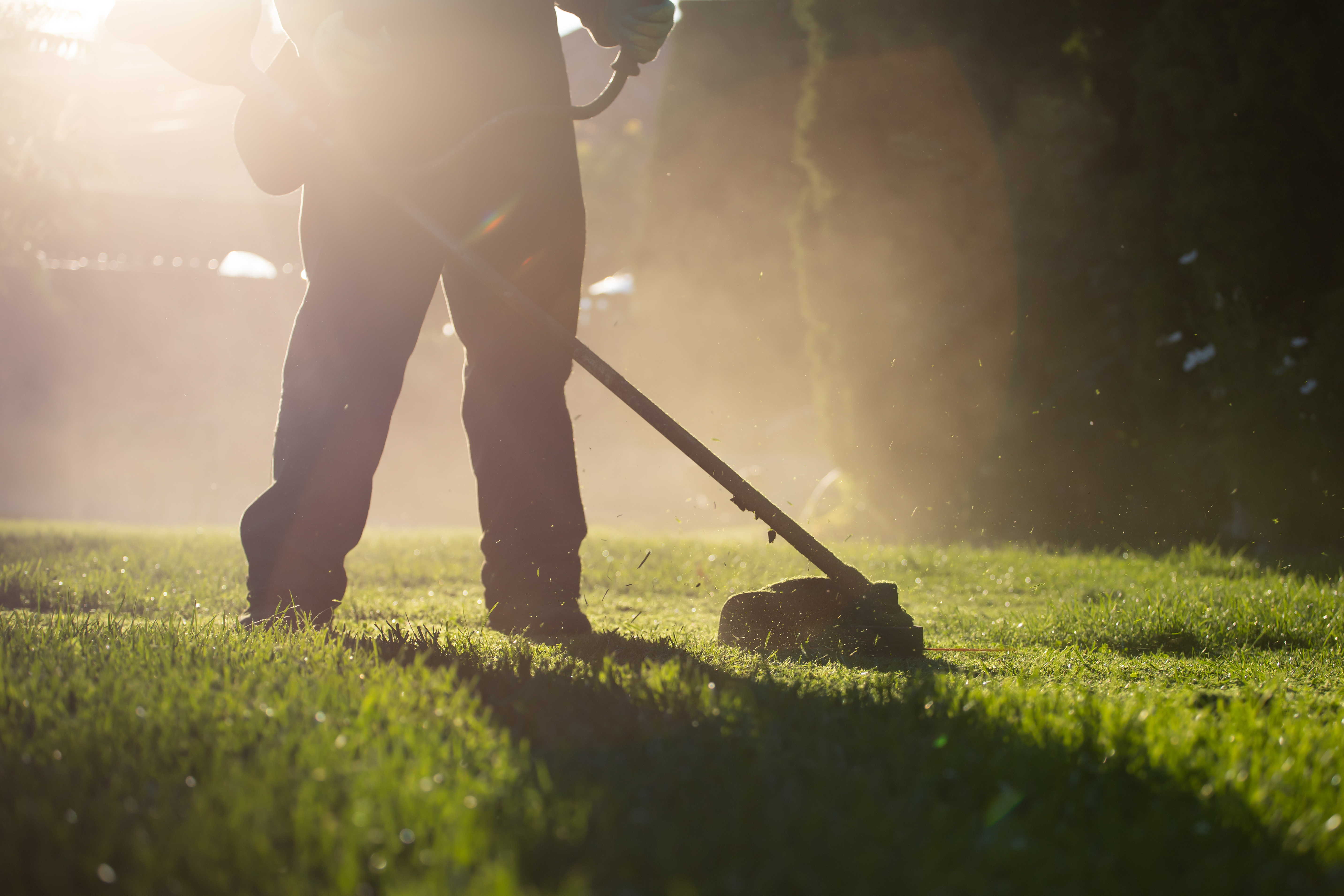 Gardener: Image 1