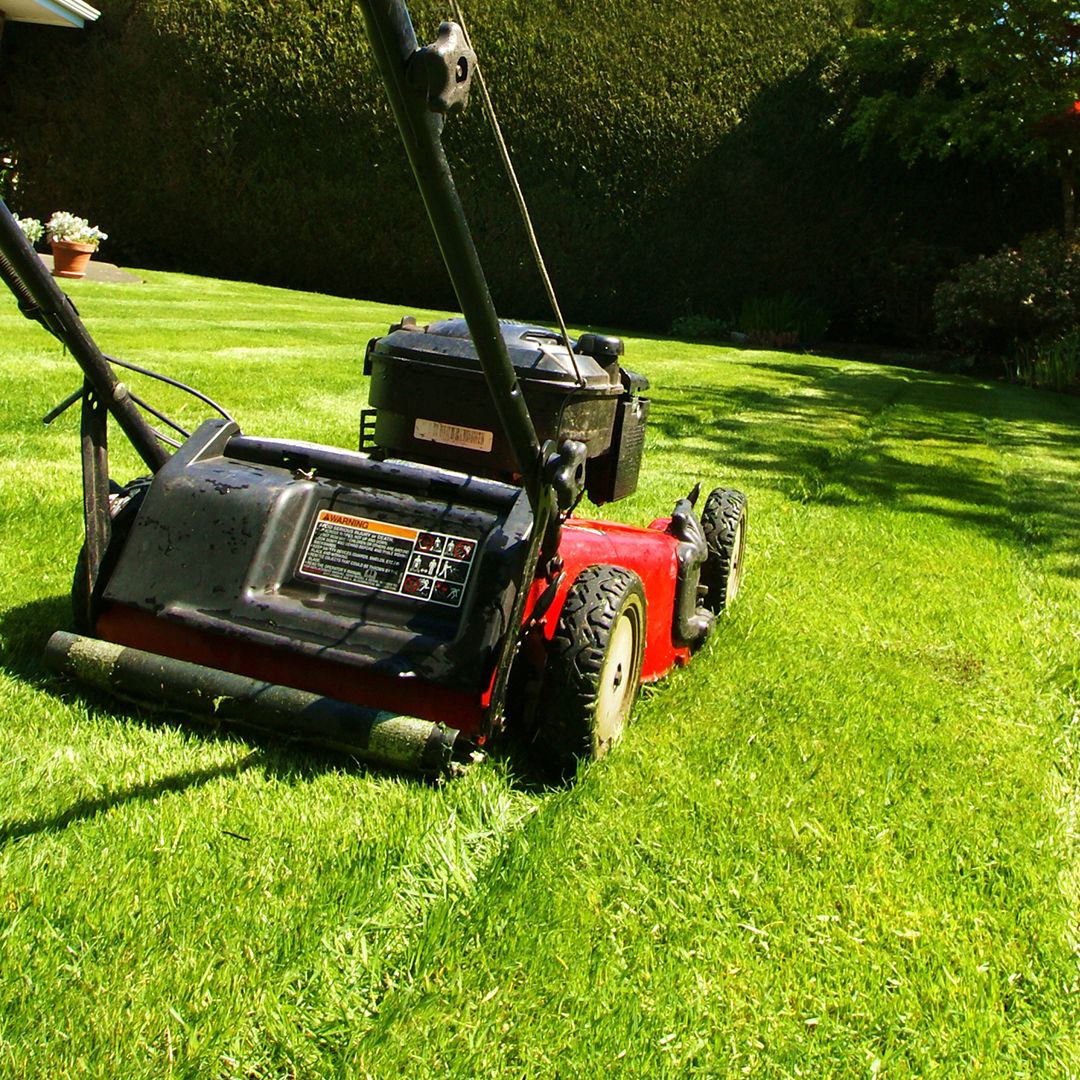 Gardener: Image 1