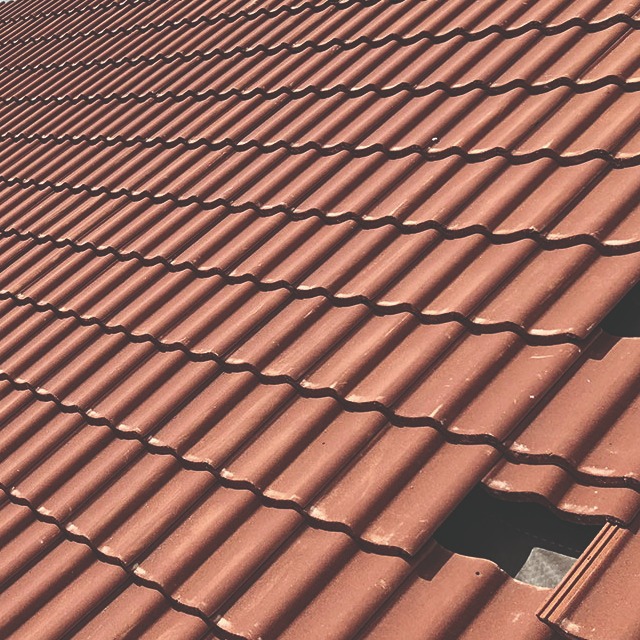 Roofer: Image 4