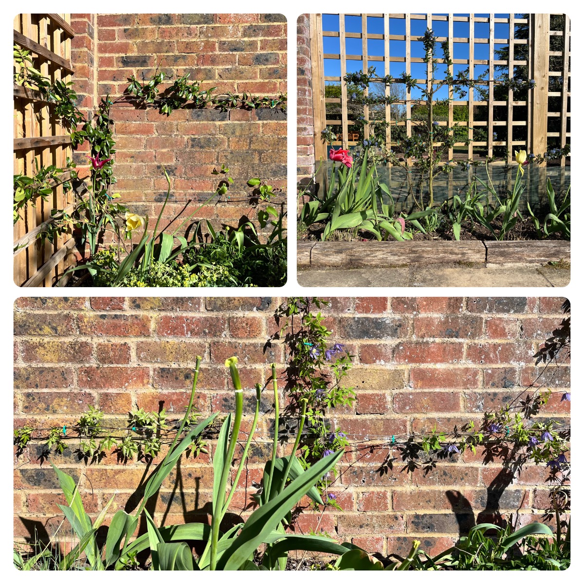 Gardener: Image 7